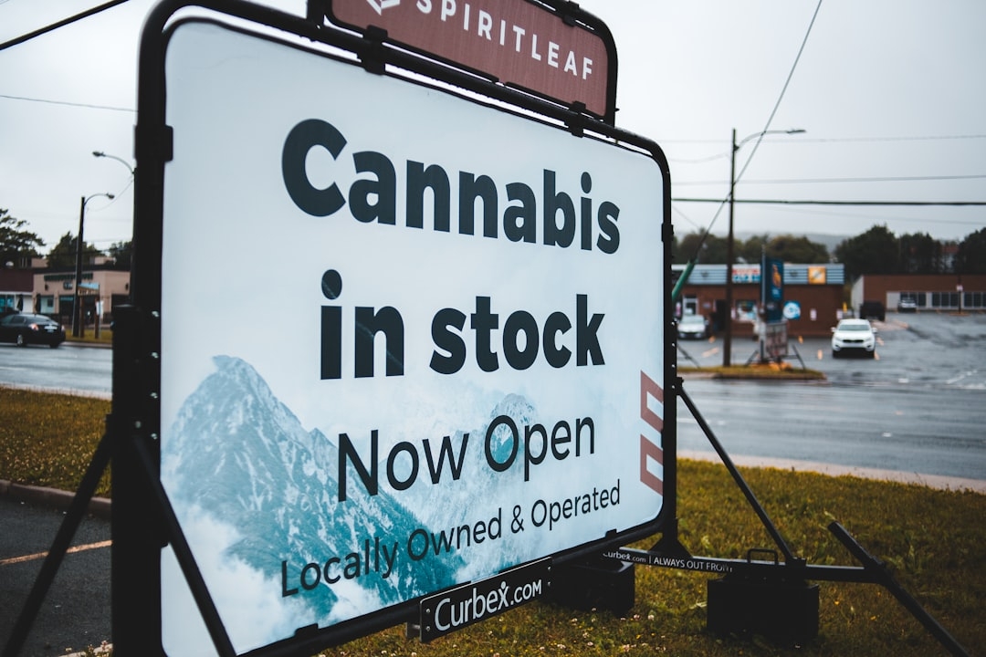 Identifying Risks in Cannabis Loyalty Programs