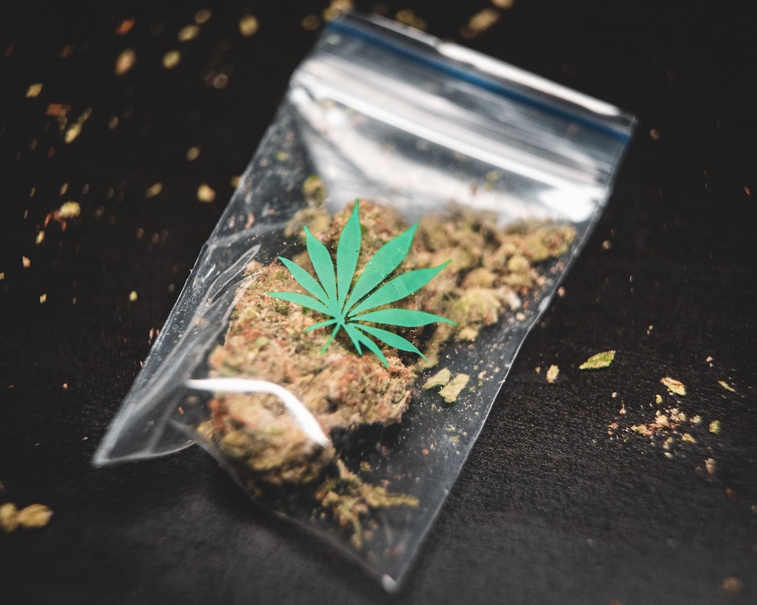 Checklist for Evaluating Cannabis Dispensary Loyalty Apps